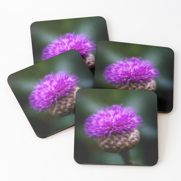 Item preview, Flower of Scotland designed and sold by DiFigianoPhoto.