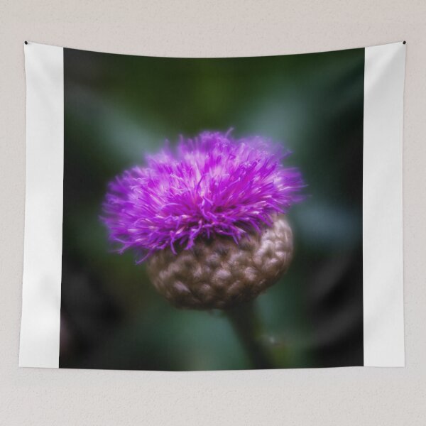 Item preview, Flower of Scotland designed and sold by DiFigianoPhoto.