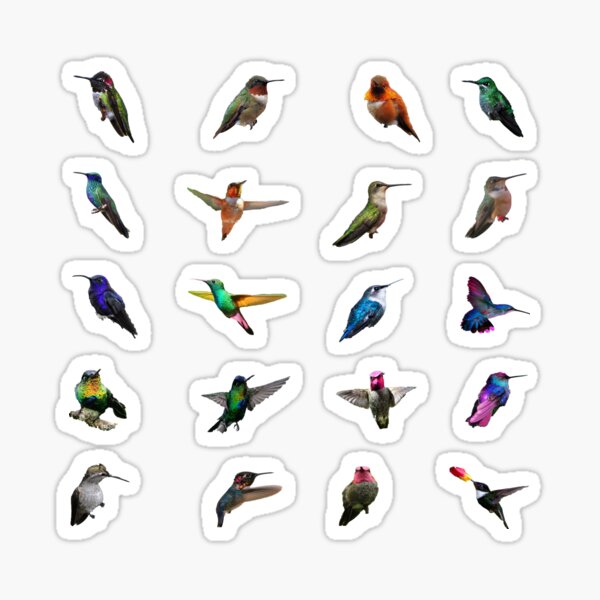 Item preview, Humming Birds Pack designed and sold by Kawaii-Cuteness.