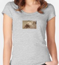 dog and crusty Women's Fitted Scoop T-Shirt