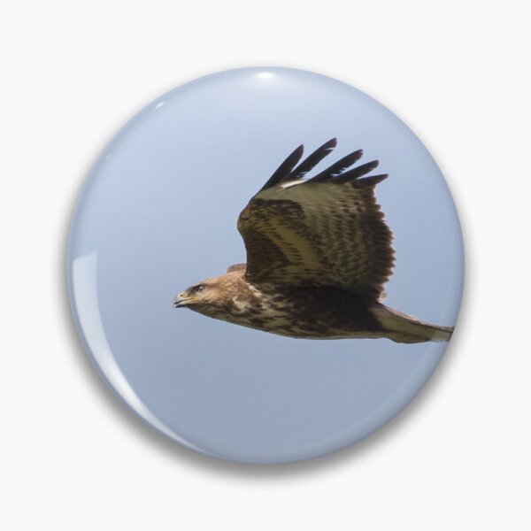 Item preview, Buzzard designed and sold by LaurenTucker.