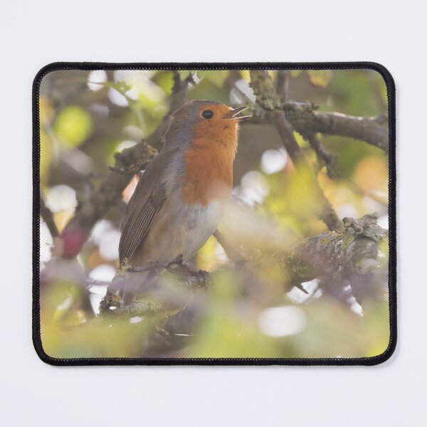 Item preview, Robin designed and sold by LaurenTucker.