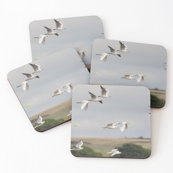 Item preview, Mediterranean Gull designed and sold by LaurenTucker.