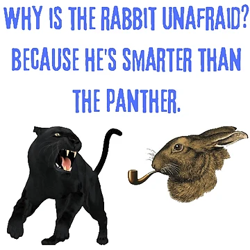 Artwork thumbnail, Smart Rabbit by DrawingAndText
