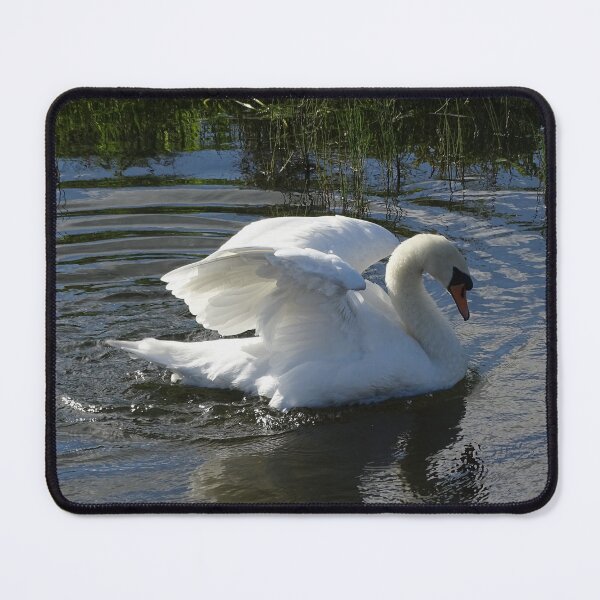 Item preview, Regal Swan designed and sold by GingerMan2550.