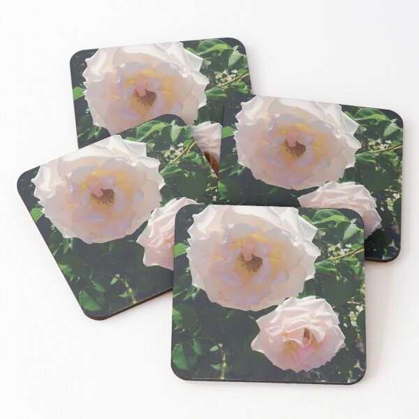 Item preview, White Roses in Open Bloom designed and sold by honeyandhive.