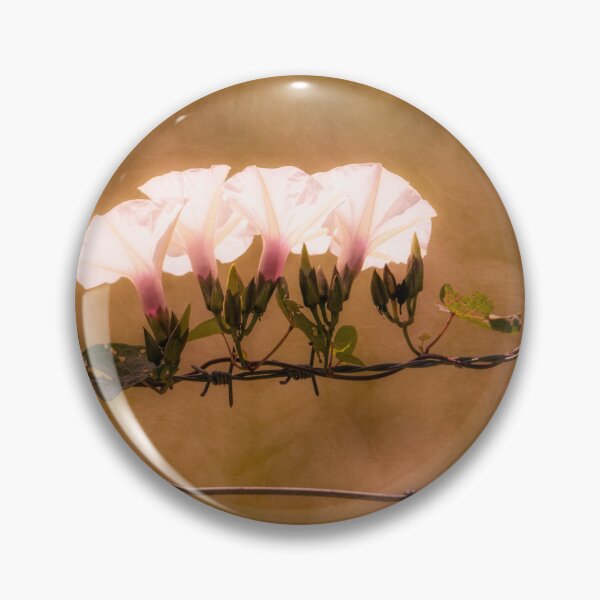 Item preview, Barbwire Morning Glory designed and sold by Jim Love.