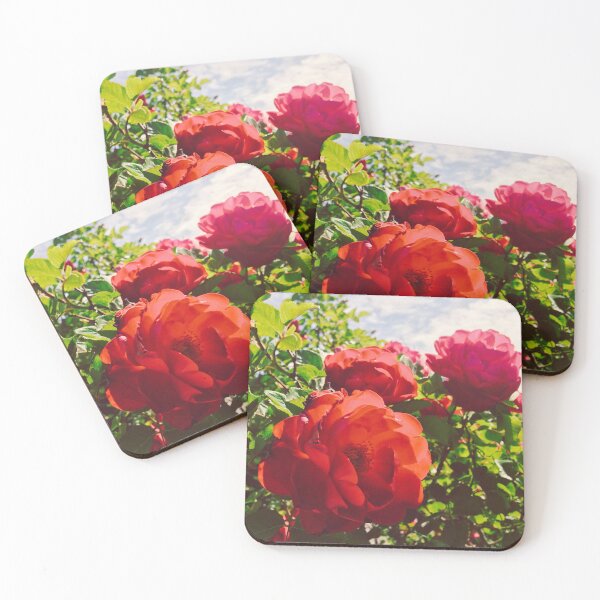 Item preview, Red roses in open bloom designed and sold by honeyandhive.