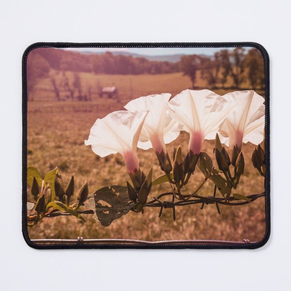 Item preview, Barbwire Morning Glory 2 designed and sold by Jim Love.