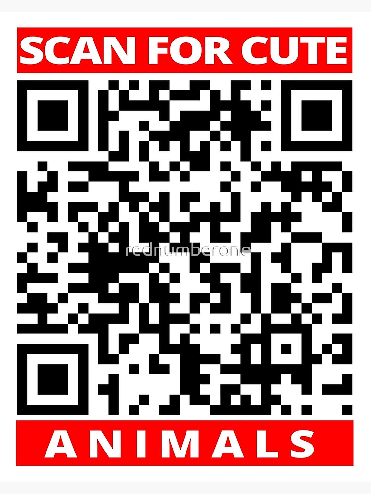 Scan For Cute Animals Rick roll video never gonna give you