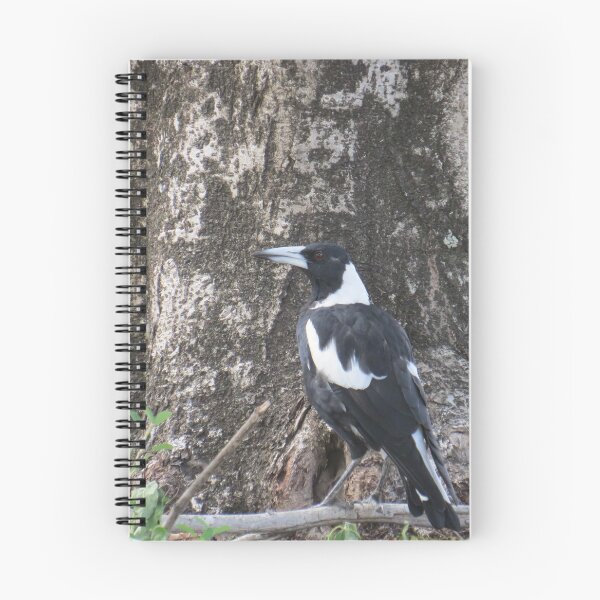 Item preview, Australian Magpie designed and sold by Genevieve Hanlon Art and Photography.