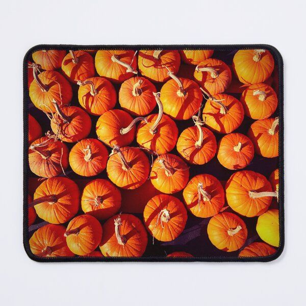 Item preview, Fall Pumpkin patch photograph designed and sold by honeyandhive.