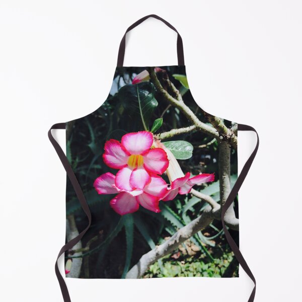 Item preview, Adenium flower in bloom designed and sold by honeyandhive.