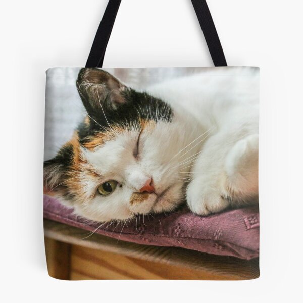 Item preview, Relaxing cat, looking with one eye closed. designed and sold by ReginaldBerenos.