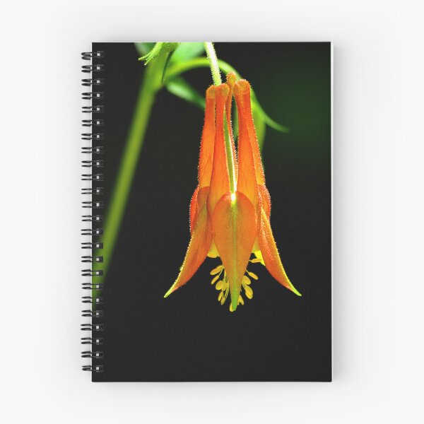 Item preview, Southwestern Red Columbine designed and sold by Vicki Pelham.