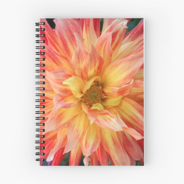 Item preview, Dahlia pinkos designed and sold by Maxiverse.