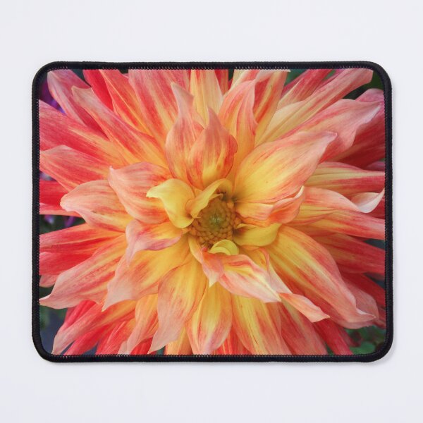 Item preview, Dahlia pinkos designed and sold by Maxiverse.