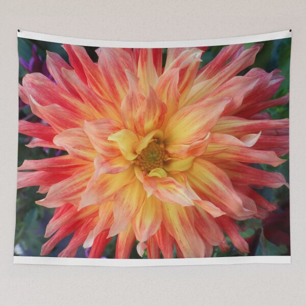 Item preview, Dahlia pinkos designed and sold by Maxiverse.