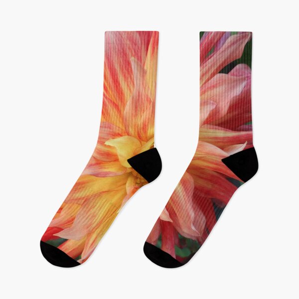 Item preview, Dahlia pinkos designed and sold by Maxiverse.