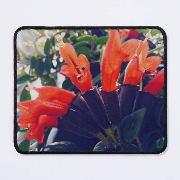 Item preview, Red Lipstick Plant photograph designed and sold by honeyandhive.