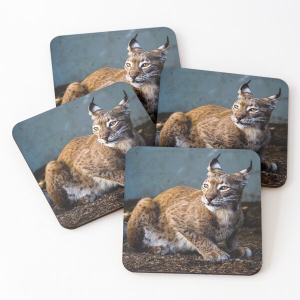 Item preview, lynx designed and sold by AnimalLover4eva.