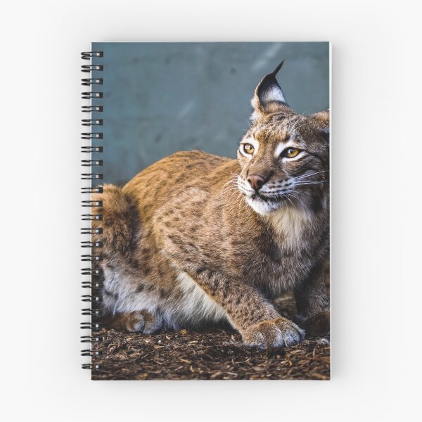 Item preview, lynx designed and sold by AnimalLover4eva.