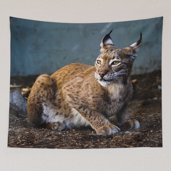Item preview, lynx designed and sold by AnimalLover4eva.