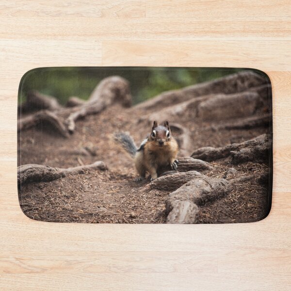 Item preview, Golden Mantled Ground Squirrel in Forest - Alberta, Canada  designed and sold by BackpackTravel.
