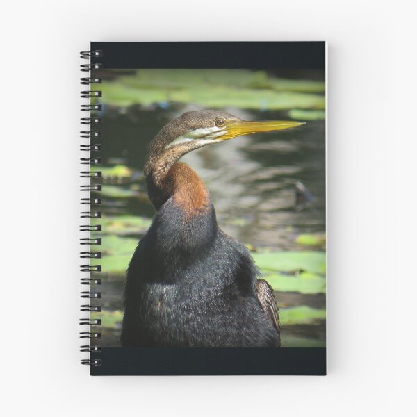 Item preview, Australasian Darter designed and sold by Genevieve Hanlon Art and Photography.