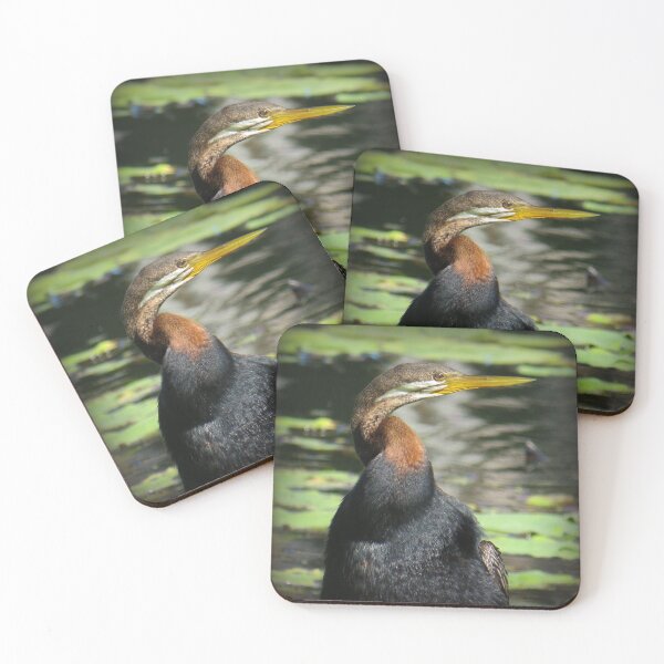 Item preview, Australasian Darter designed and sold by Genevieve Hanlon Art and Photography.