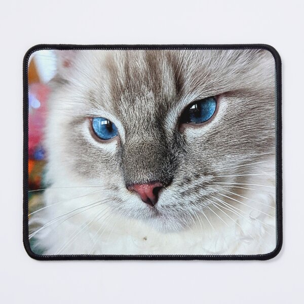 Item preview, Lynx ragdoll kitten designed and sold by Fluffycat2020.