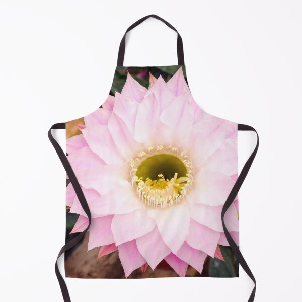 Item preview, Lotus cactus designed and sold by Maxiverse.