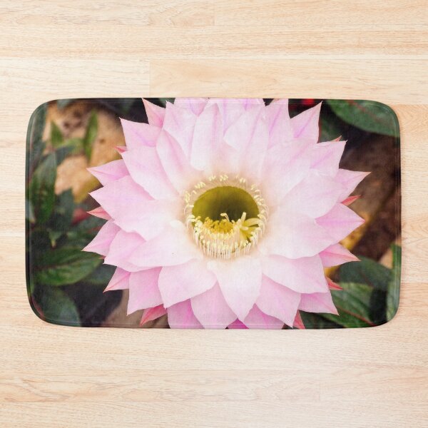 Item preview, Lotus cactus designed and sold by Maxiverse.