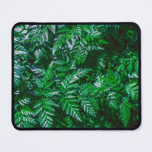 Item preview, Fern Leaves designed and sold by MyArt23.