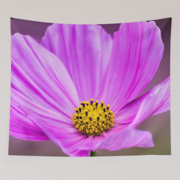 Item preview, Cosmos 3 designed and sold by John Velocci.