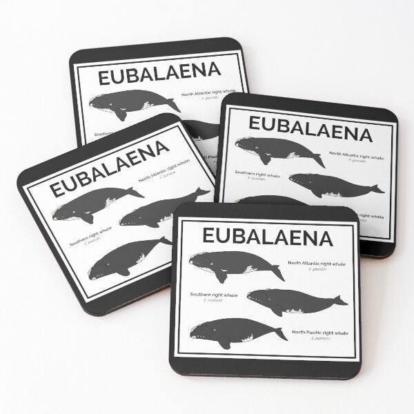 Item preview, Genus Eubalaena: Right Whales designed and sold by taylorrowan.
