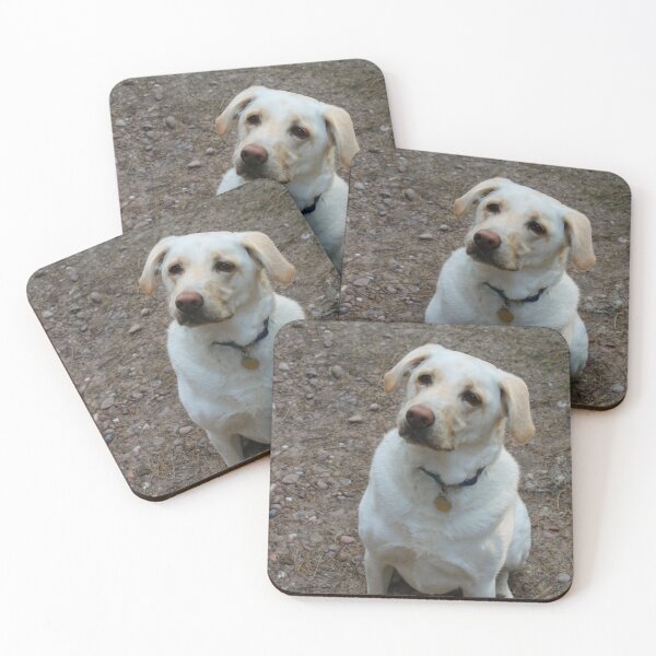 Item preview, Ollie Sits designed and sold by Thomas Halouva.