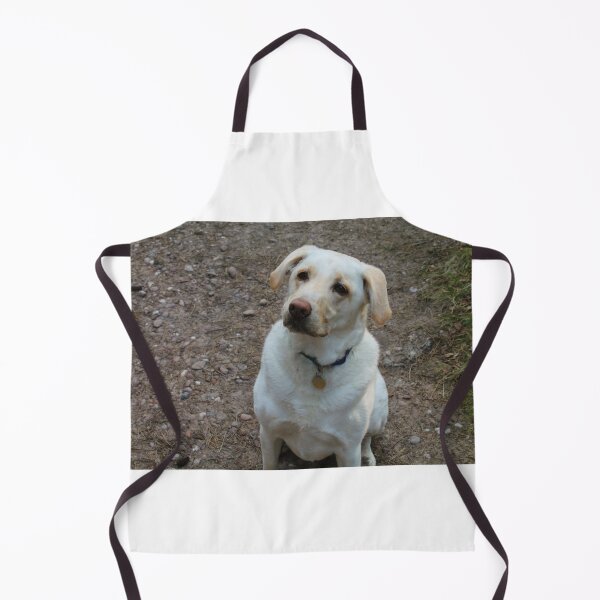 Item preview, Ollie Sits designed and sold by Thomas Halouva.