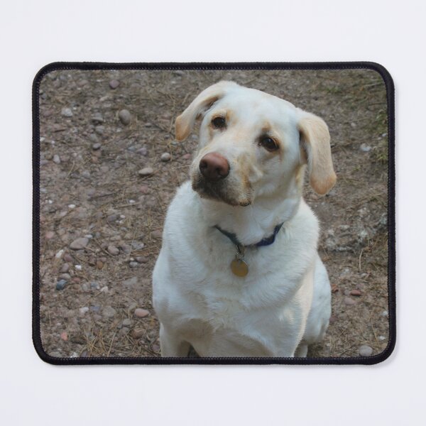Item preview, Ollie Sits designed and sold by Thomas Halouva.