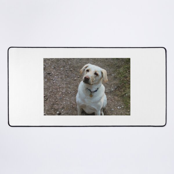 Item preview, Ollie Sits designed and sold by Thomas Halouva.