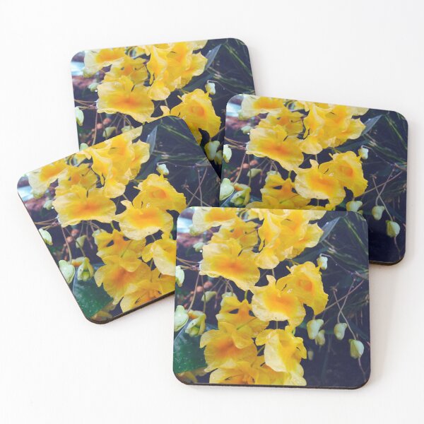 Item preview, Fotografía de la flor amarilla del dendrobium de Lindley designed and sold by honeyandhive.
