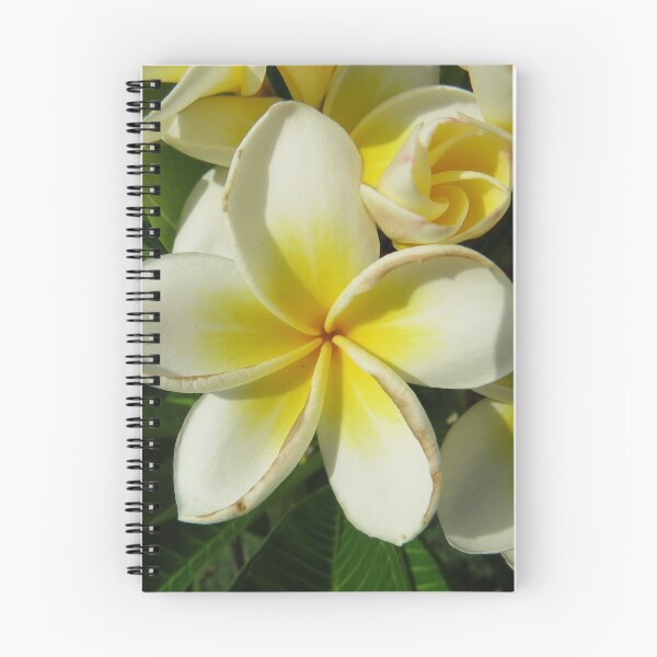 Item preview, Frangipani designed and sold by Genevieve Hanlon Art and Photography.