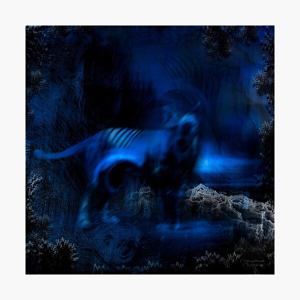 The Mystery Photographic Print