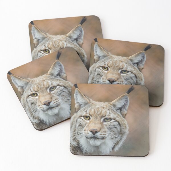 Item preview, Red Lynx Photograph designed and sold by AnimalLover4eva.