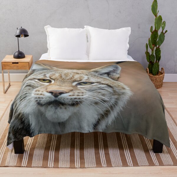Item preview, Red Lynx Photograph designed and sold by AnimalLover4eva.