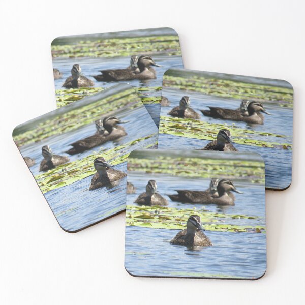 Item preview, Pacific Black Ducks designed and sold by Genevieve Hanlon Art and Photography.