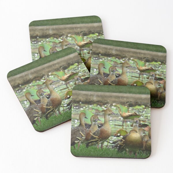Item preview, Plumed Whistling Ducks designed and sold by Genevieve Hanlon Art and Photography.