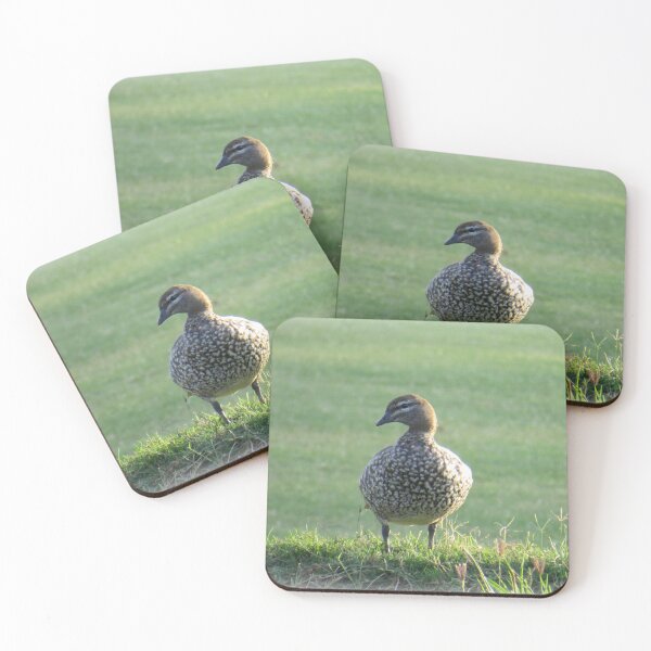 Item preview, Australian Wood Duck designed and sold by Genevieve Hanlon Art and Photography.