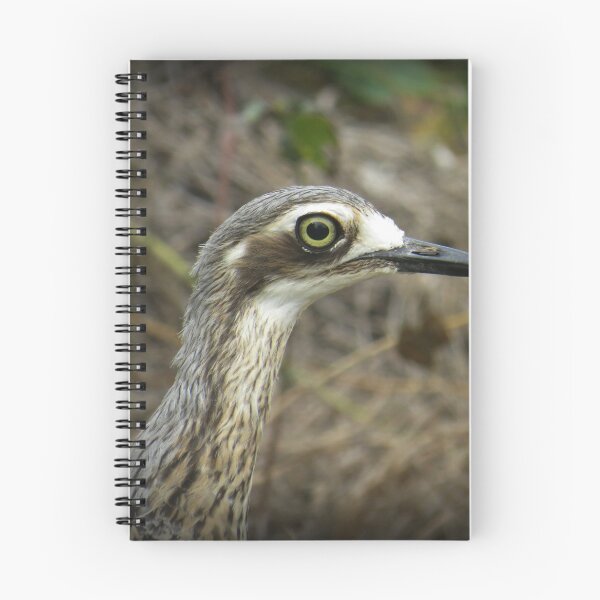 Item preview, Bush Stone Curlew designed and sold by Genevieve Hanlon Art and Photography.