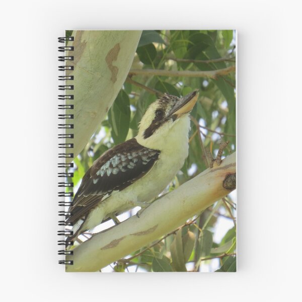 Item preview, Laughing Kookaburra designed and sold by Genevieve Hanlon Art and Photography.